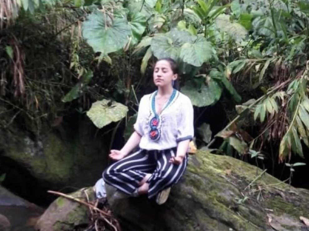 Una persona sentada en meditación sobre una roca, rodeada de vegetación junto a una quebrada.